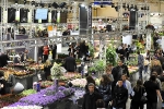 IPM 2010