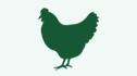 Bio Hühner